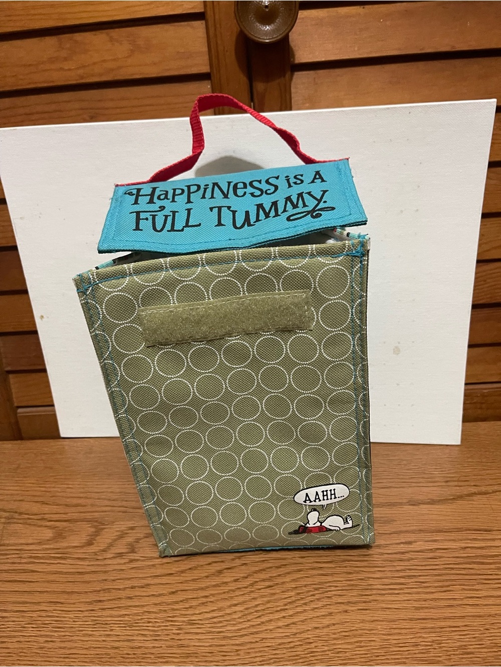 Blue & Green Insulated Lunch Bag with Snoopy Graphic